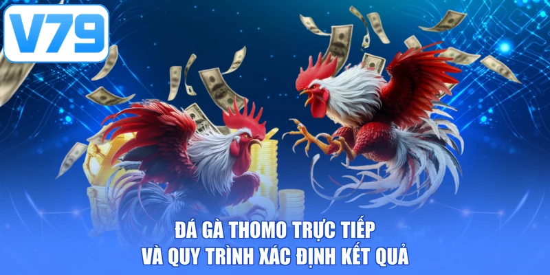 Đá gà thomo trực tiếp và quy trình xác định kết quả