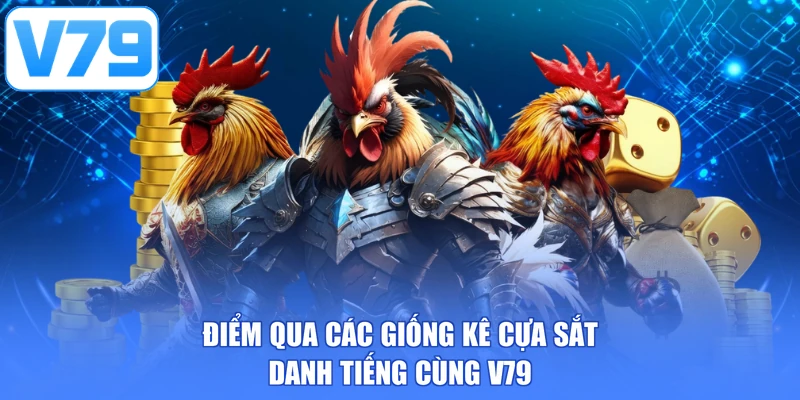 Điểm qua các giống kê cựa sắt danh tiếng cùng V79
