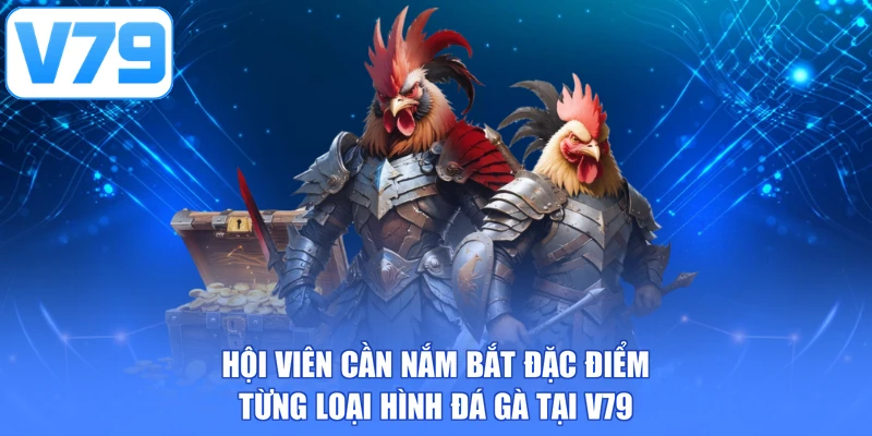 Hội viên cần nắm bắt đặc điểm từng loại hình đá gà tại V79