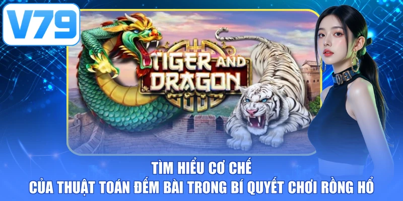 Tìm hiểu cơ chế của thuật toán đếm bài trong bí quyết chơi rồng hổ